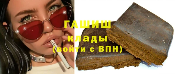 индика Ельня