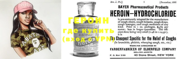 индика Ельня