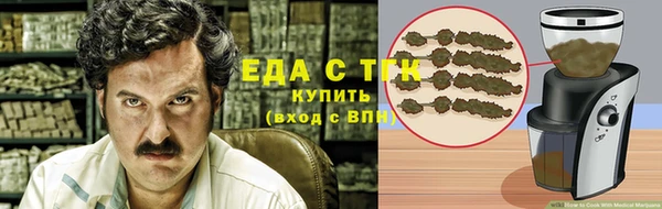 индика Ельня