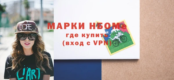 индика Ельня
