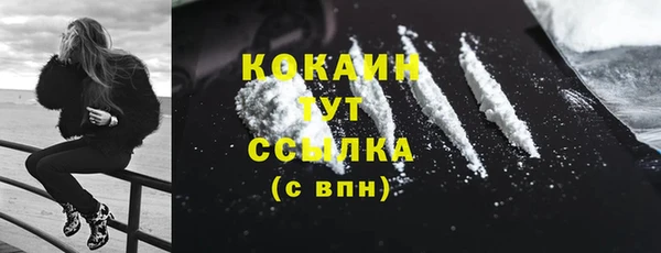 индика Ельня