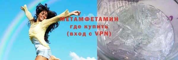 индика Ельня
