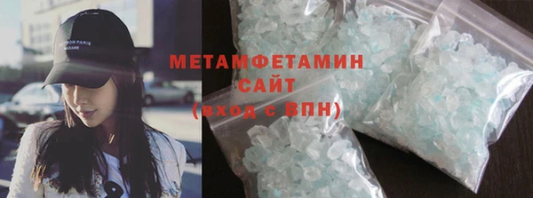 индика Ельня
