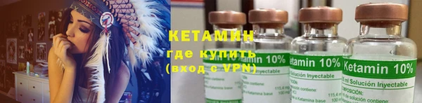 индика Ельня
