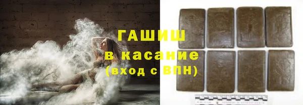 индика Ельня