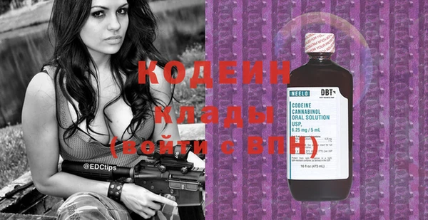 индика Ельня
