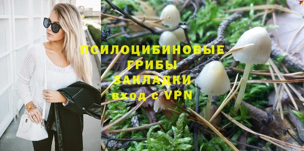 спайс Елизово