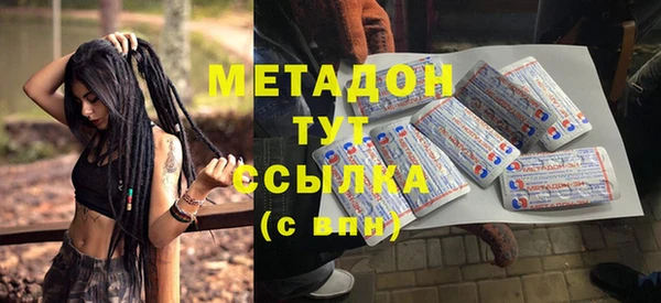 индика Ельня