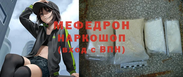 индика Ельня