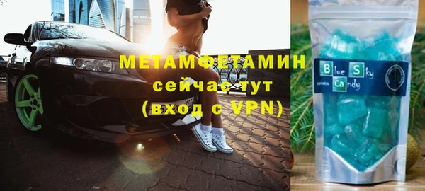 индика Ельня