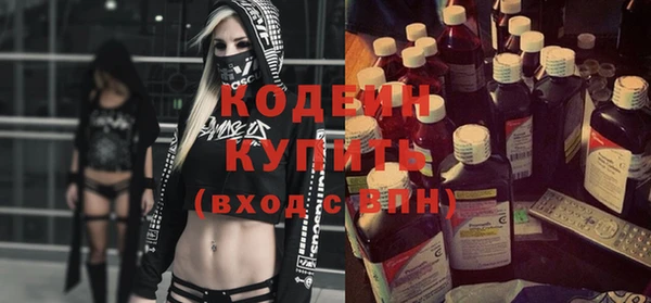 индика Ельня
