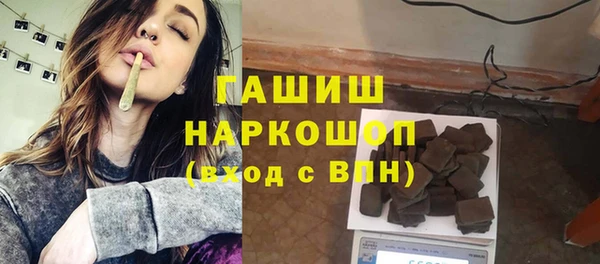 индика Ельня